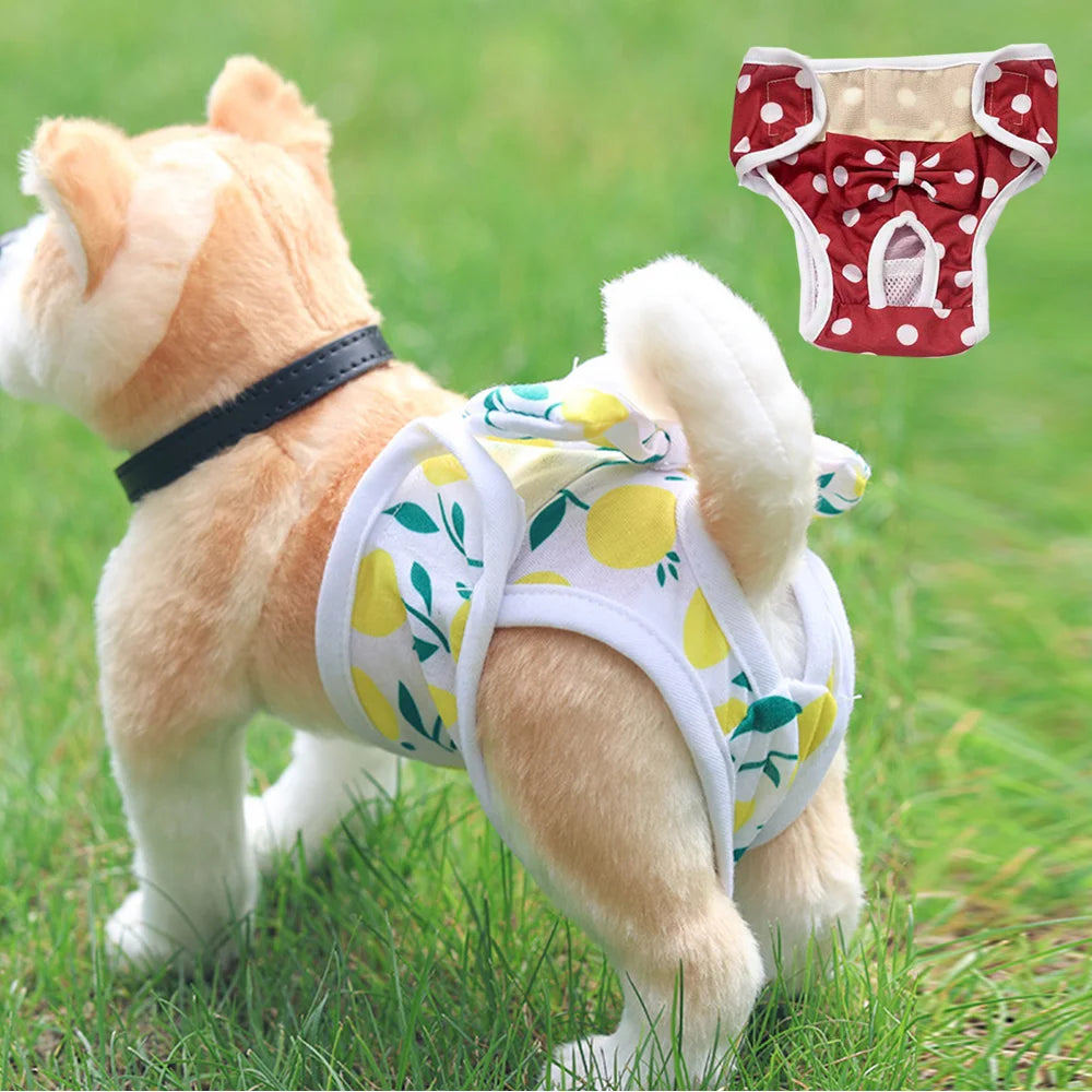 PawFitコットン犬用おむつ