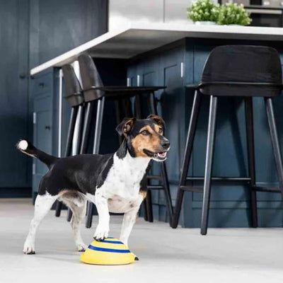 Interactive Dog Toy – Rotatable Spiral-Shaped Play Mat for Mental Stimulation