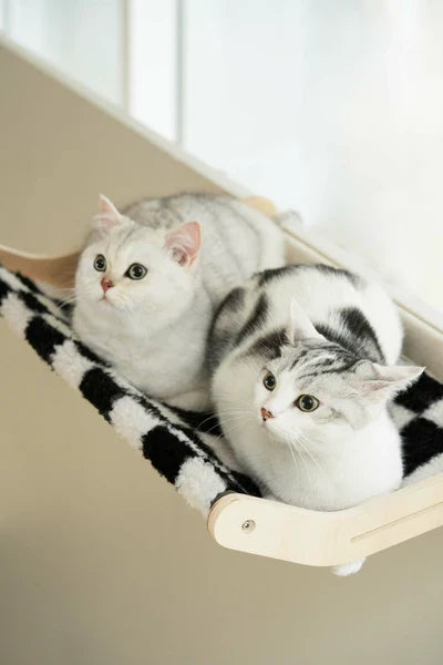 猫のための実用的なハンモック