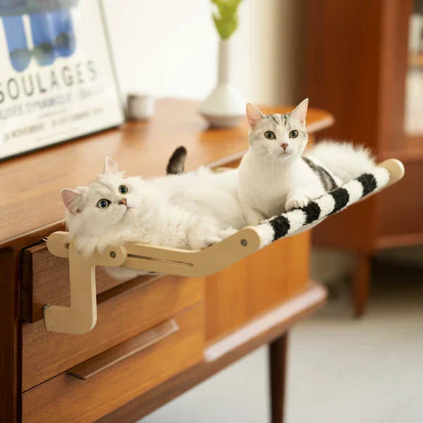 猫のための実用的なハンモック