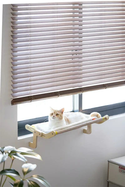 猫のための実用的なハンモック