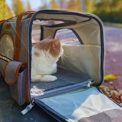 Pet Carrying Bag with Mesh Window and Adjustable Shoulder Strap