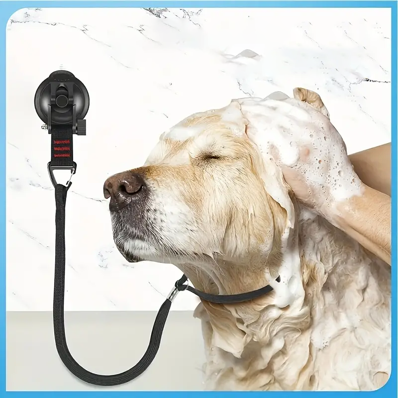 Pet Care Suction Cup Harness Attachment