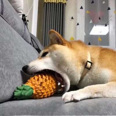 Fruit-shaped rubber dog toy for chewing pleasure and dental care