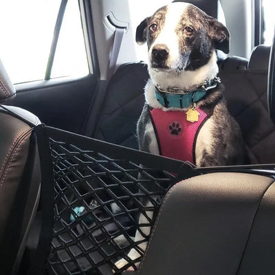 Car Net Pocket for Storage - Practical for the Vehicle Interior