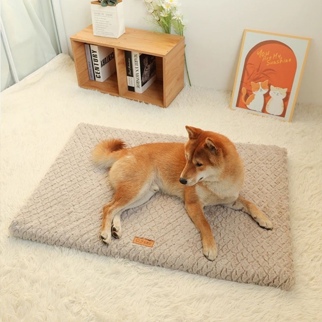 Orthopedic Dog Cushion with Washable Cover