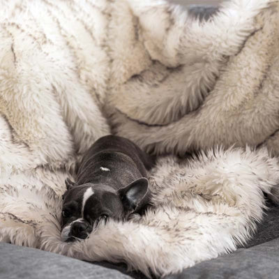 Waterproof Dog Blanket with Plush Imitation Fur Protects Furniture and Dog Beds