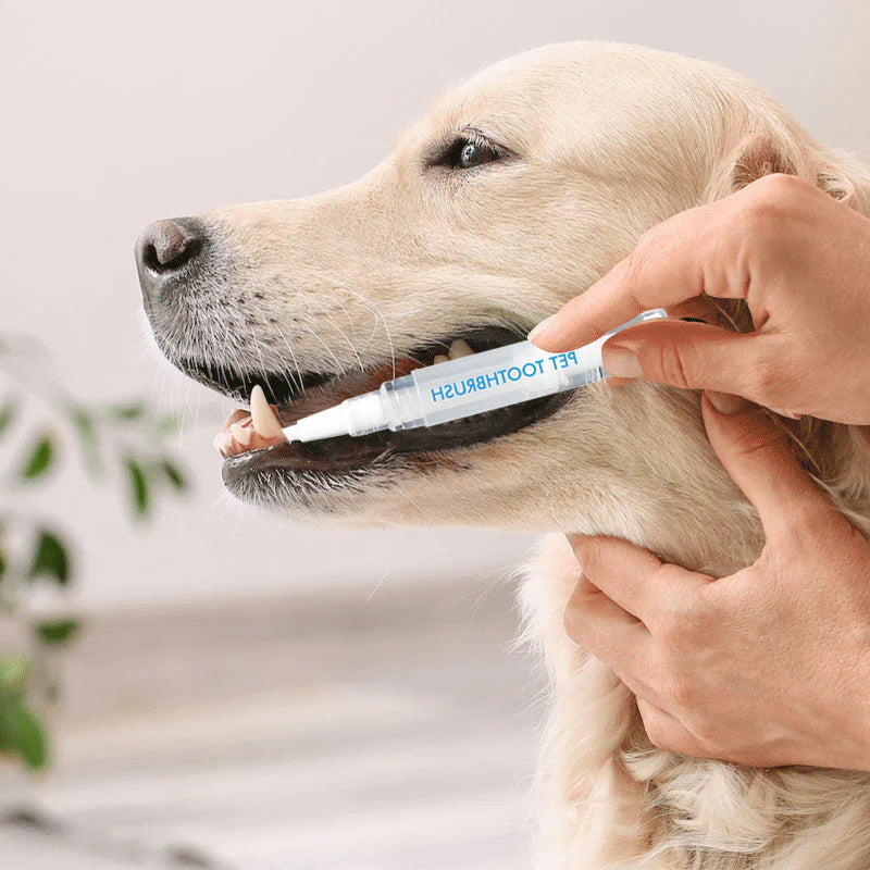 Dental Care Pen