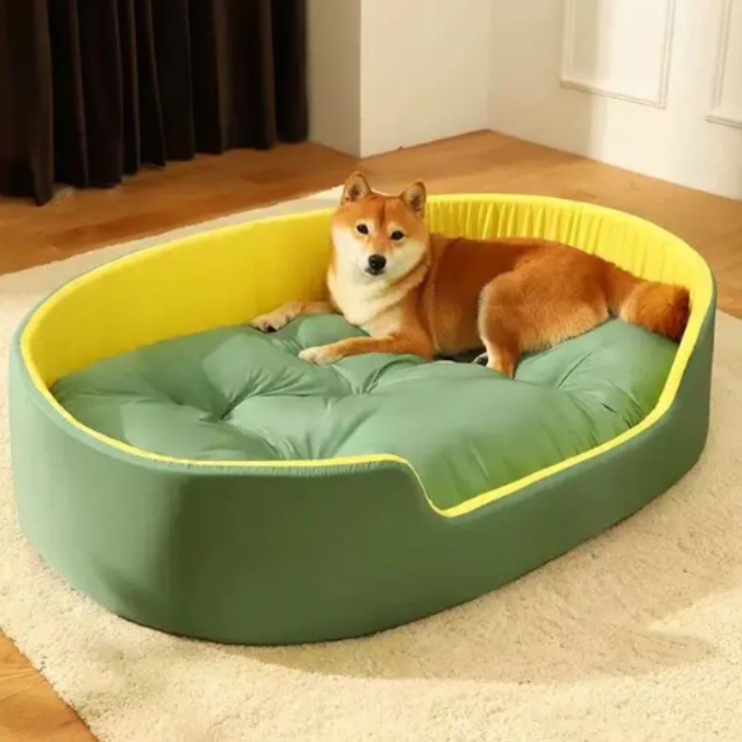 Soft Dog Sleep Cushion with Elevated Edges and Removable Pillow