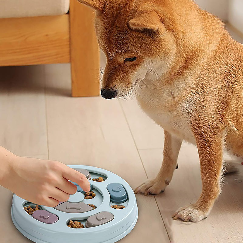 Dog Interactive Slow Feeder Bowl