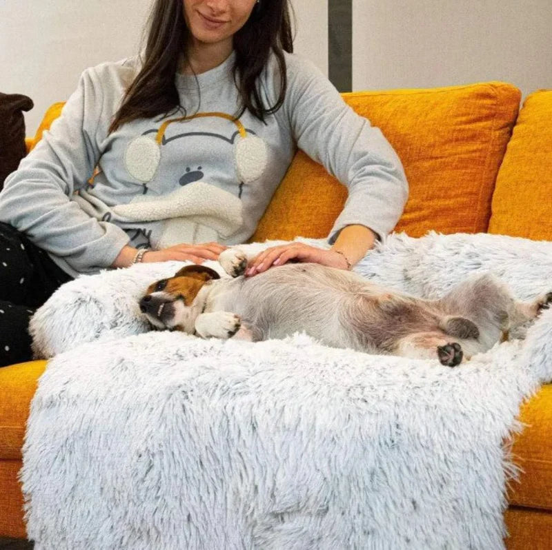 Luxury Dog Sofa