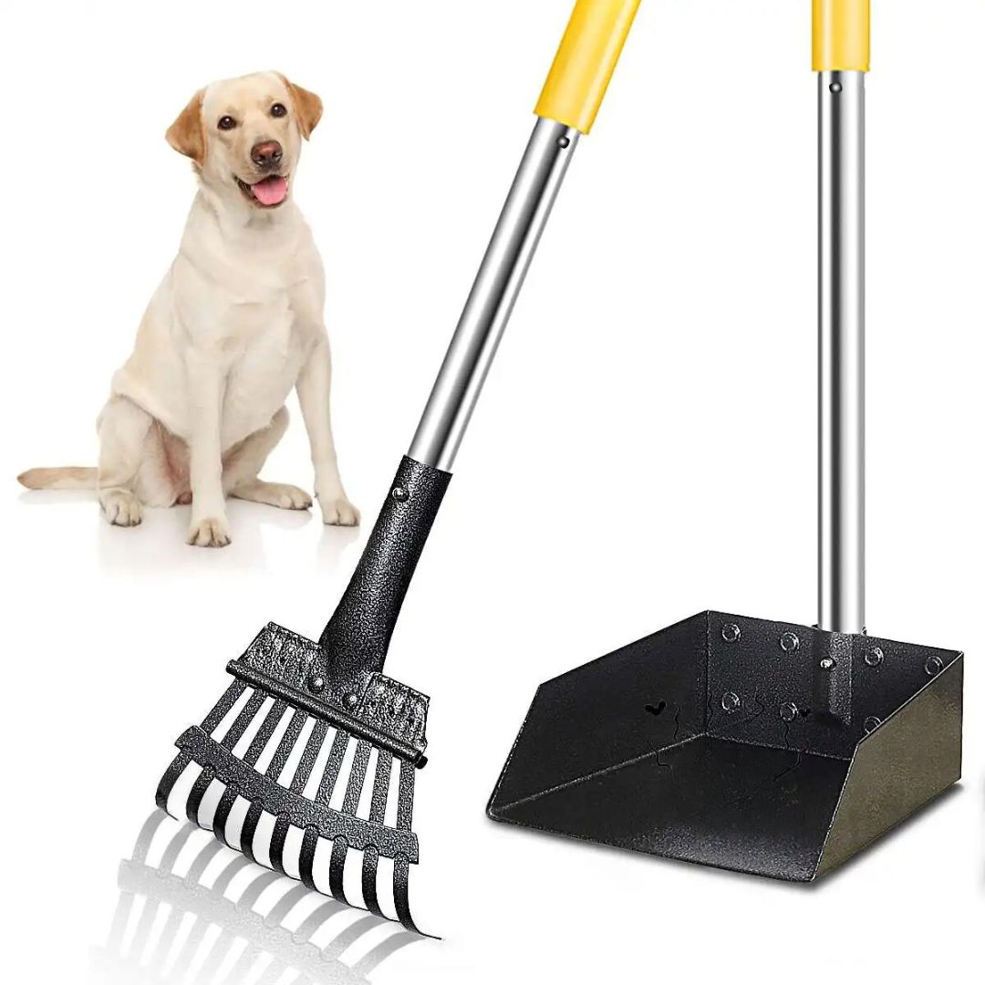 Stainless Steel Poop Scoop Rake