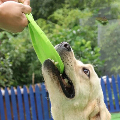 Dog Toy Frisbee – Durable Throwing Disc for Active Play