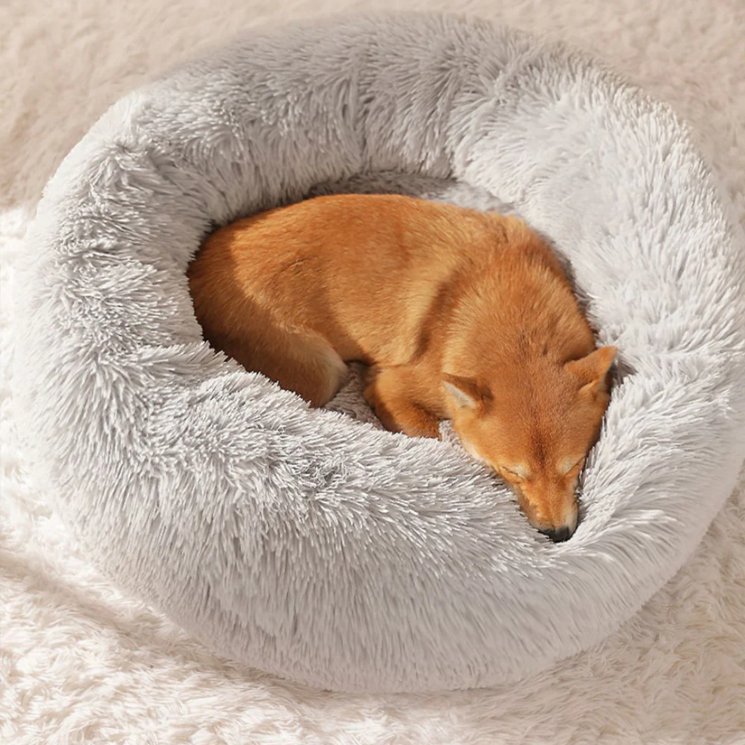 Cloud 9 Dog Bed - Ultimate comfort for your dog!