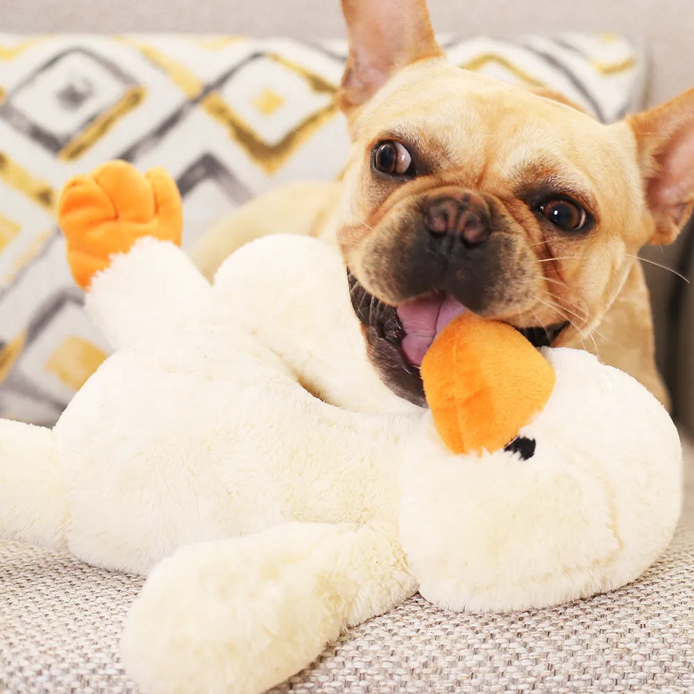 Plush Toy for Dogs – Soft Duck Toy