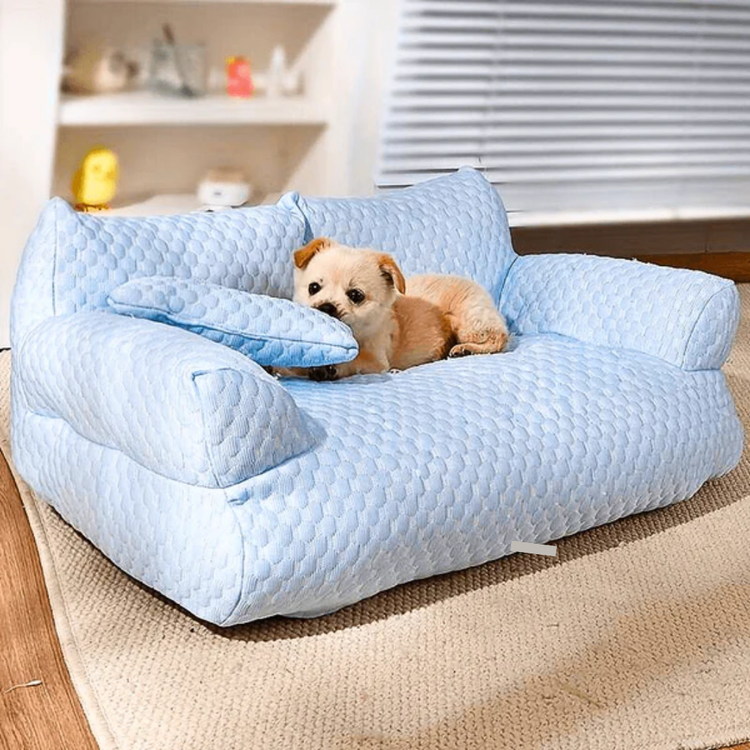 FreshyPaws - The cooling pet bed!