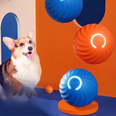 Interactive Spring Ball for Dogs