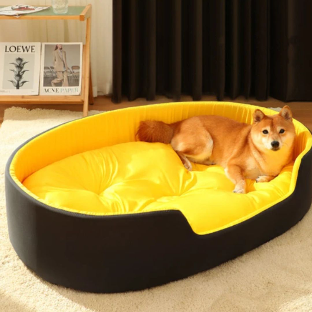 Soft Dog Sleep Cushion with Elevated Edges and Removable Pillow
