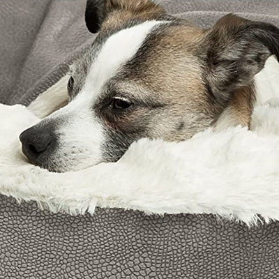Orthopedic Donut Dog Bed with Hooded Blanket to Cuddle Up In