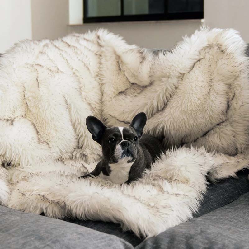 Waterproof Dog Blanket with Plush Imitation Fur Protects Furniture and Dog Beds