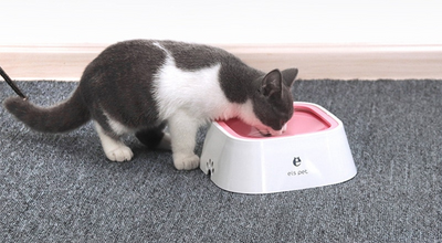 ペット用スプラッシュボウル