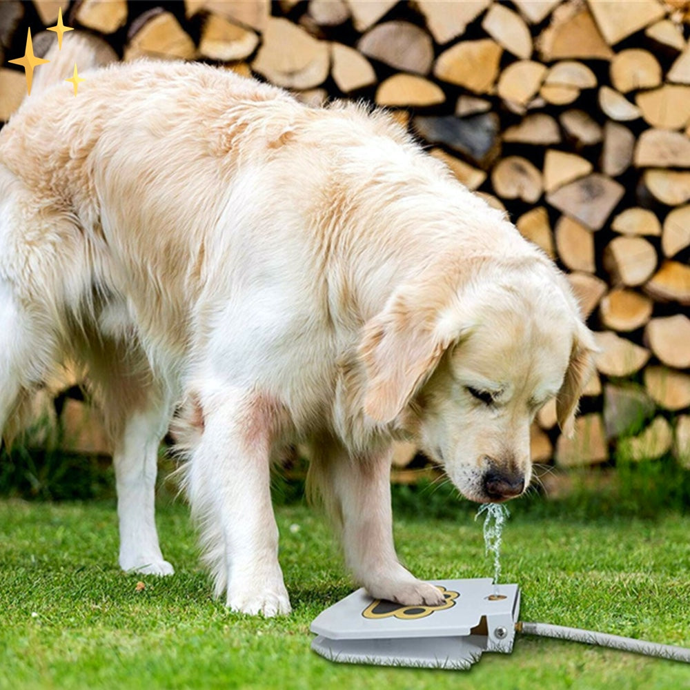 インタラクティブな犬用噴水おもちゃ - PawSplash