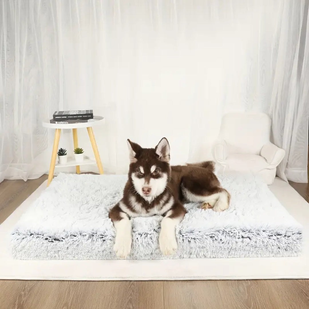 Orthopedic dog bed for healthy joints