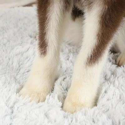 Orthopedic dog bed for healthy joints