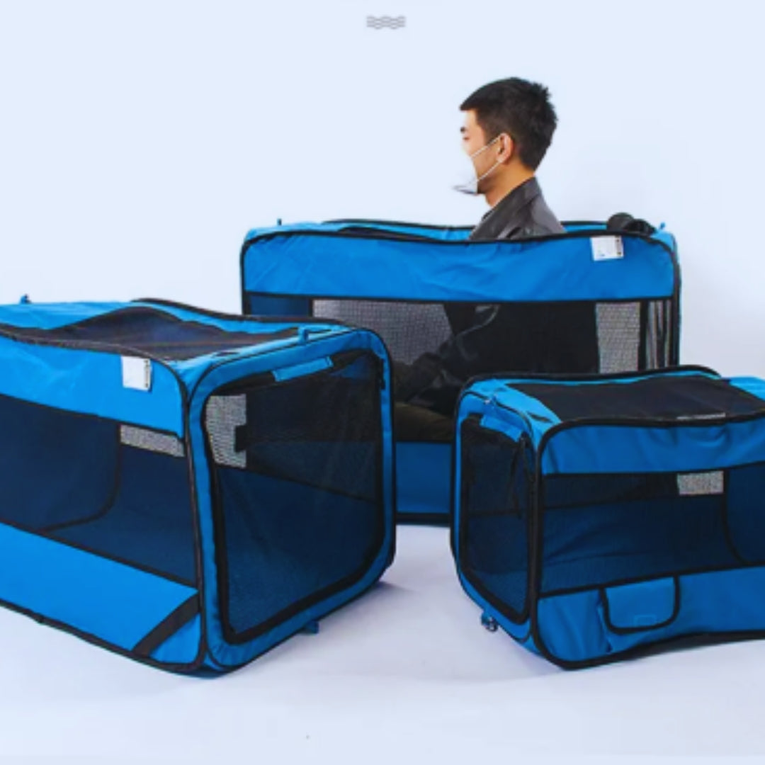 Foldable Pet Transport Box with Mesh Windows and Soft Mat