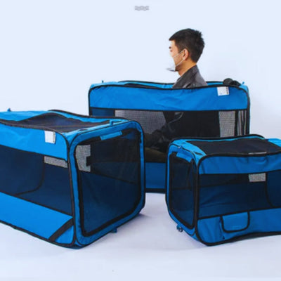 Foldable Pet Transport Box with Mesh Windows and Soft Mat