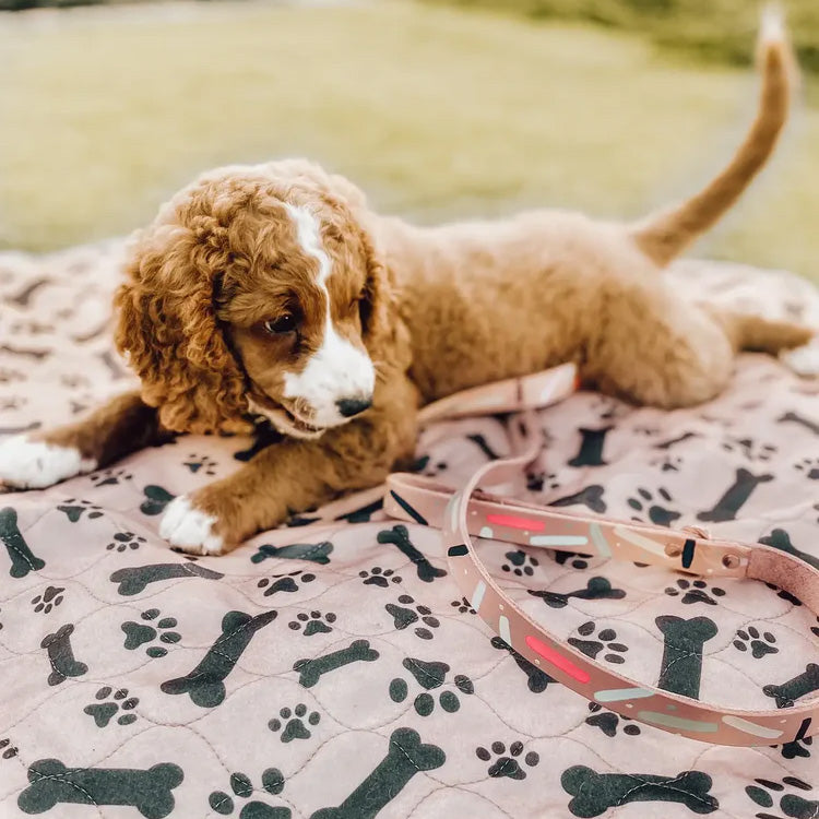 Plasbuddy Sustainable Pee Pads
