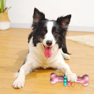 Dog Chew Toy with Teeth – Interactive Chew Toy for Dogs