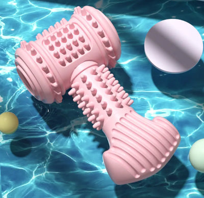 Dog Chew Toy – Dental Care Dumbbell for Dogs