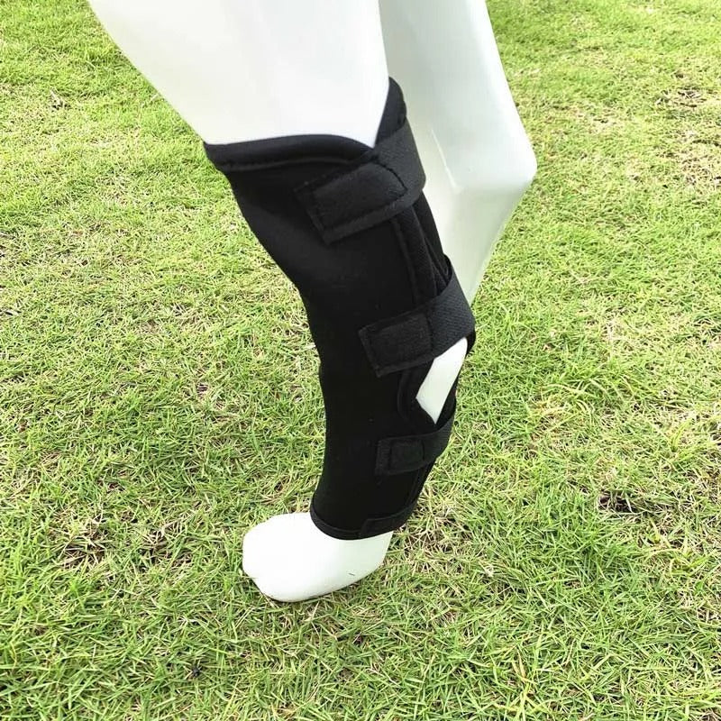 Knee Brace for Dogs