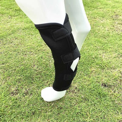 Knee Brace for Dogs