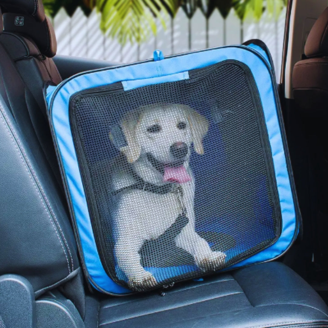 Foldable Pet Transport Box with Mesh Windows and Soft Mat
