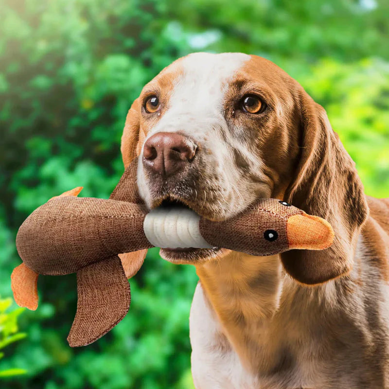 Robust Dog Toy