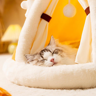 猫のための快適なぬいぐるみテント