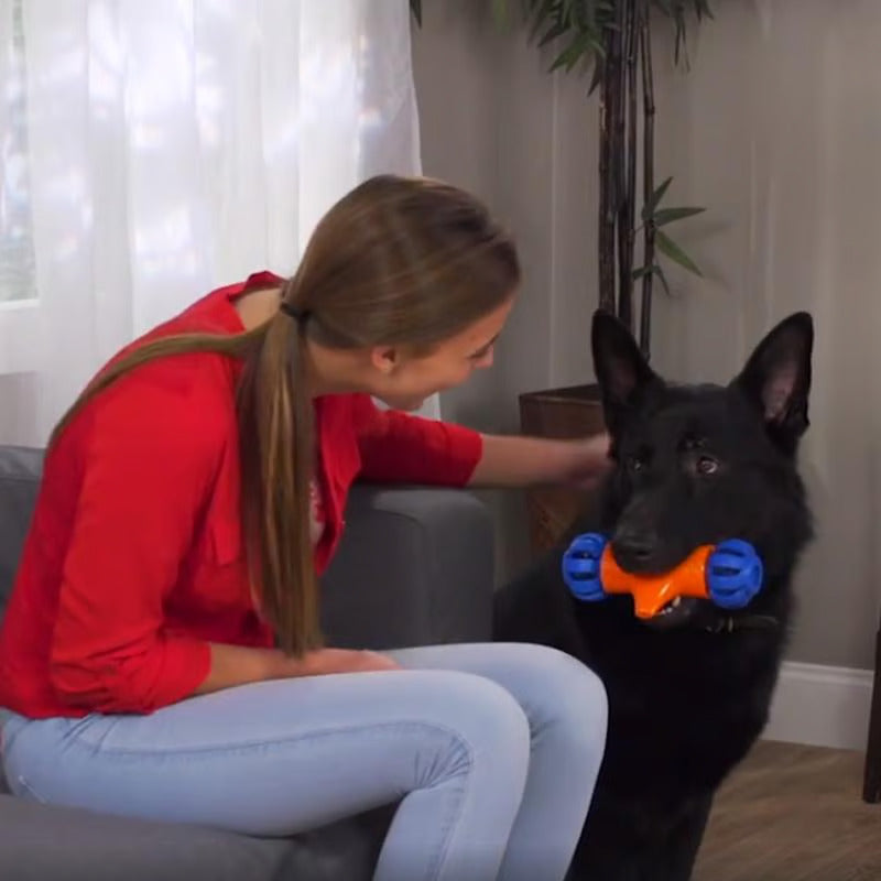 Interactive Self-Driving Dog Toy