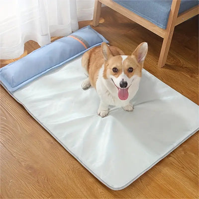 Summer Cool Orthopedic Sleeping Pillow for Dogs