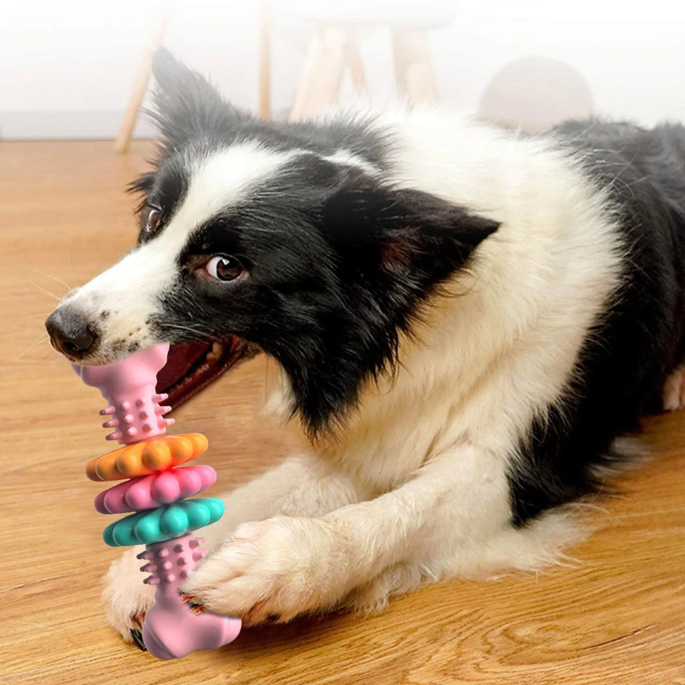 Dog Chew Toy with Teeth – Interactive Chew Toy for Dogs
