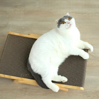 猫の爪とぎ