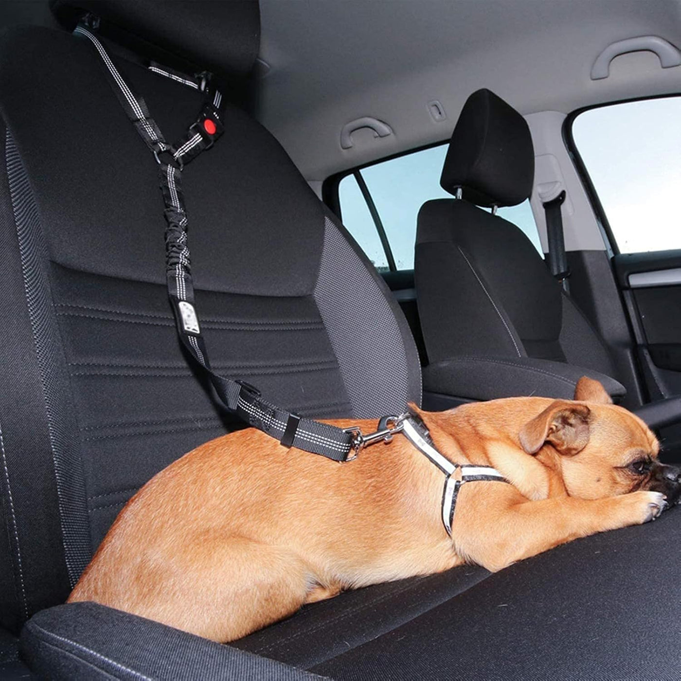 Dog Car Safety Belt