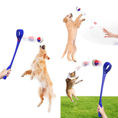 Dog Toy Throwing Game for Dogs with Ball Throwing Stick