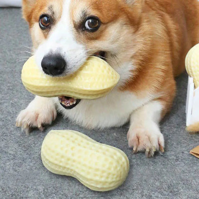 Peanut Shaped Dog Toy – Chew Toy with Sound Hole for Dogs