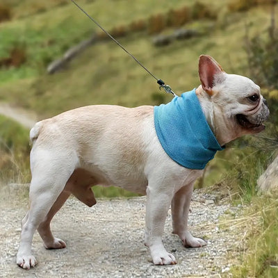 セルフクーリング犬用スカーフ - 洗えるポリエステル