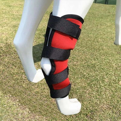 Knee Brace for Dogs