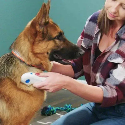 Electric flea and tick remover for Pets