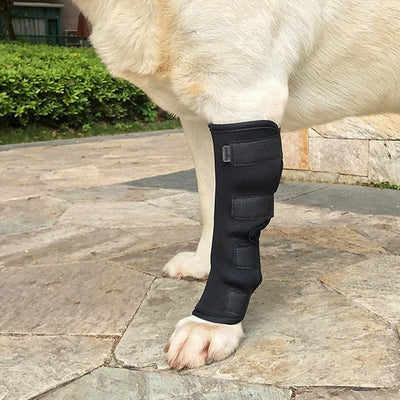 Knee Brace for Dogs