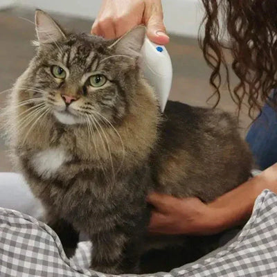 Electric flea and tick remover for Pets